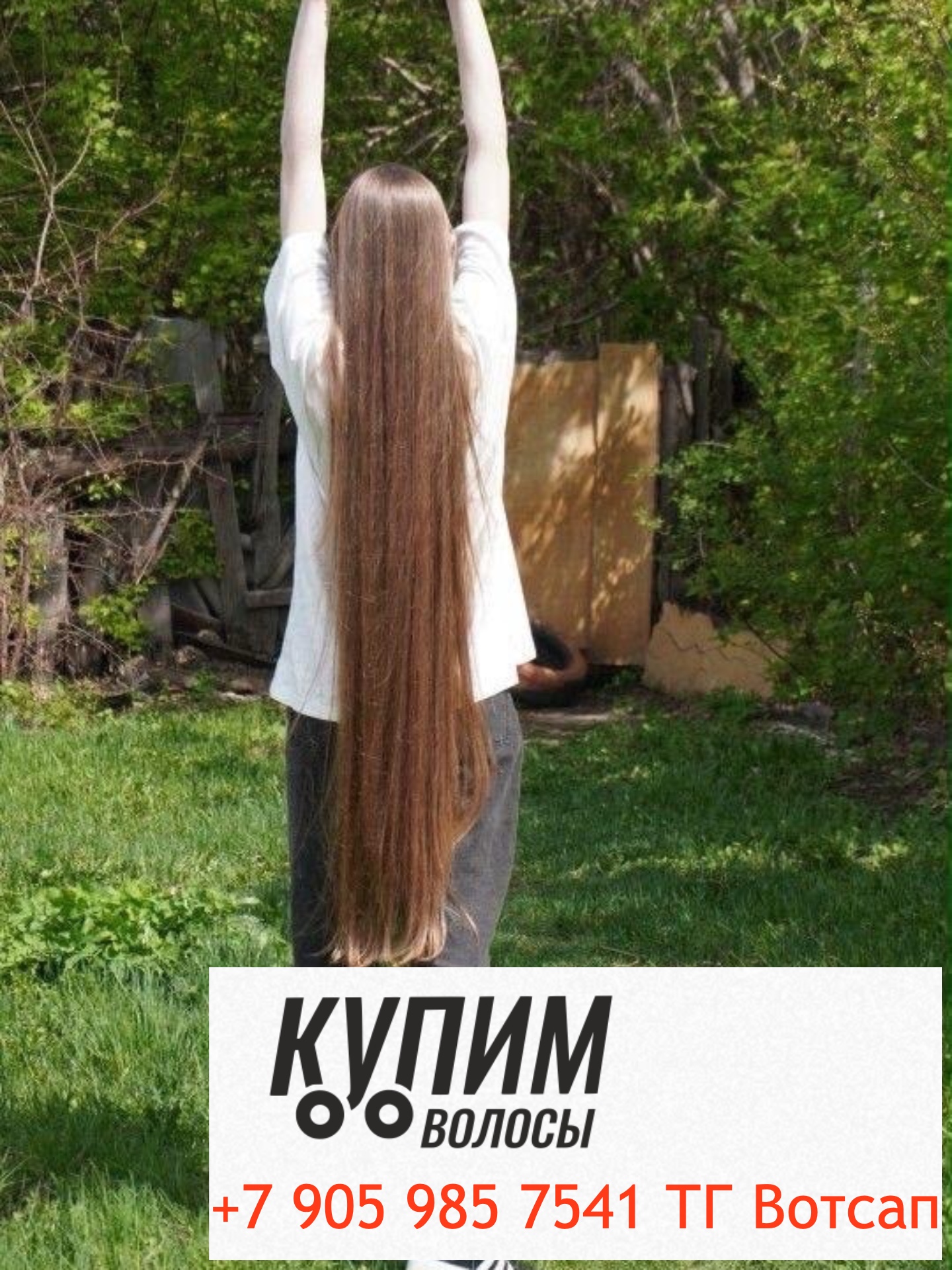 покупаем натуральные волосы в Томске дорого- онлайн оплата - 8-905-985-75-41 звоните и пишите в Телеграм и ВОТСАП Работаем по всей стране