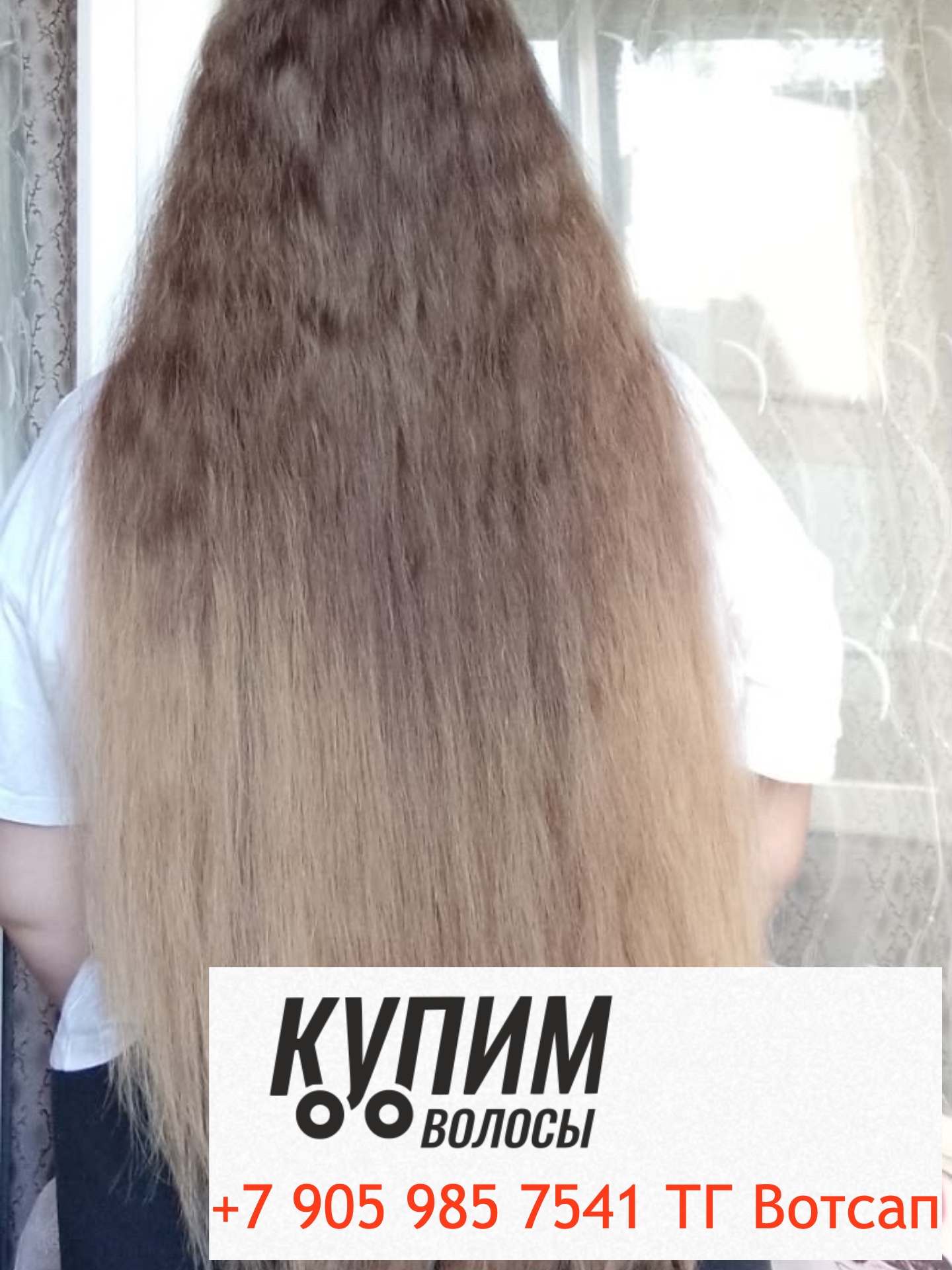 Как сдать волос через интернет Купим быстро- дорого- онлайн оплата — 8-905-985-75-41 Телеграм и ВОТСАП Работаем по всей стране Как сдать волос через интернет Купим быстро- дорого- онлайн оплата - 8-905-985-75-41 Телеграм и ВОТСАП Работаем по всей стране