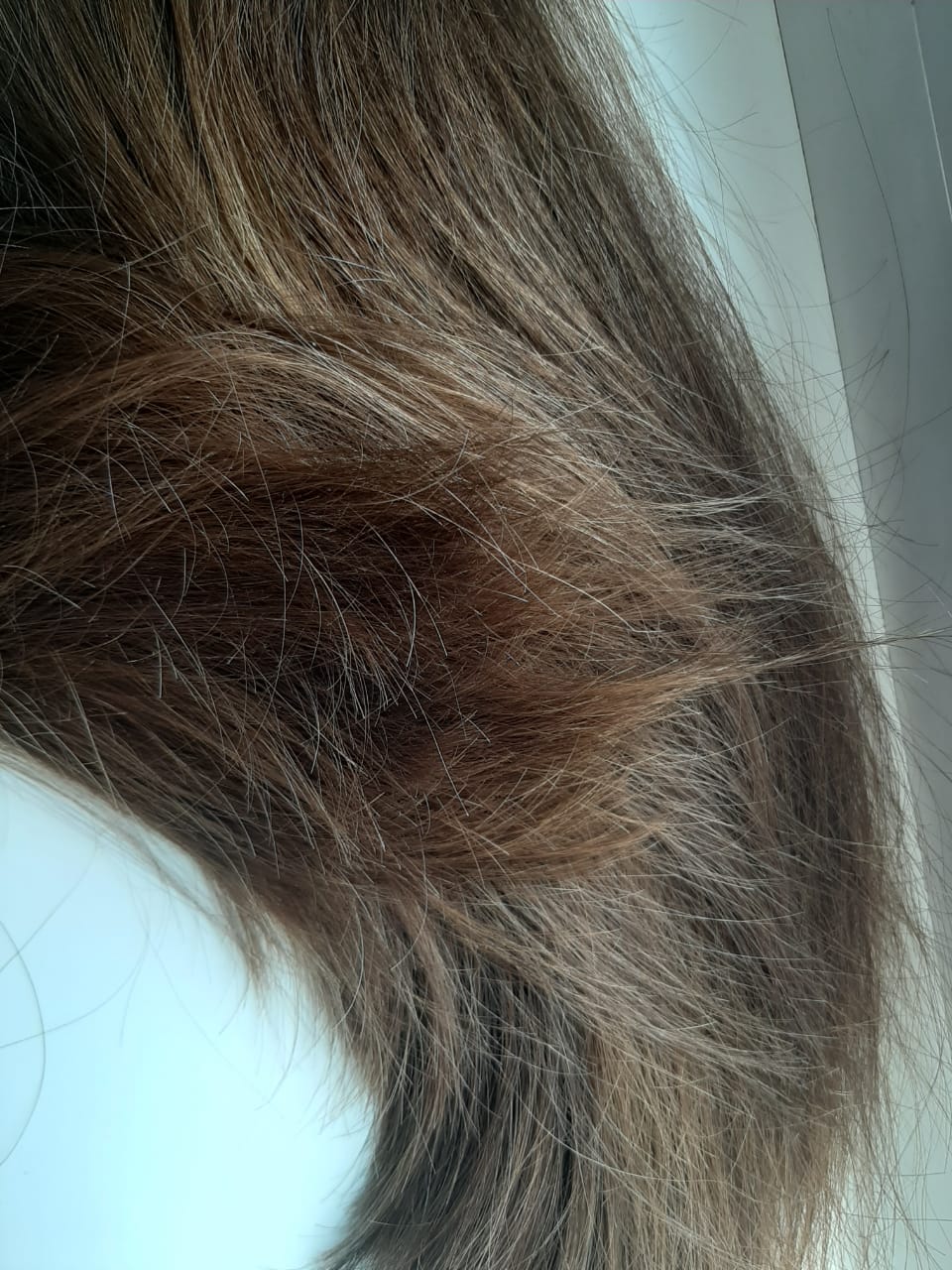 EA6CE316-F0C8-4439-A782-A6F426877C26