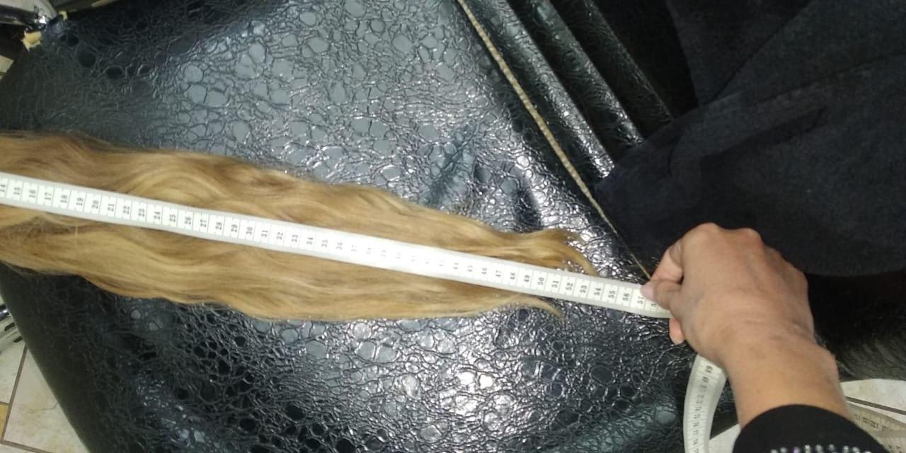 photo_2020-07-08_01-15-39