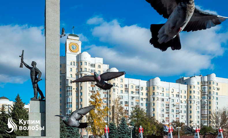 Продать волосы в Брянске можно нам!