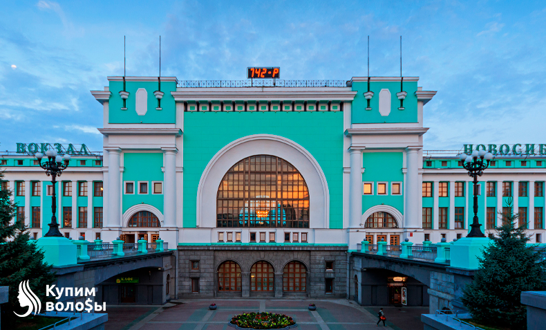 Скупка волос в Новосибирске в 2024 году