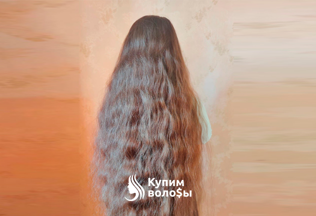 Скупка волос по всей России — Дорого!
