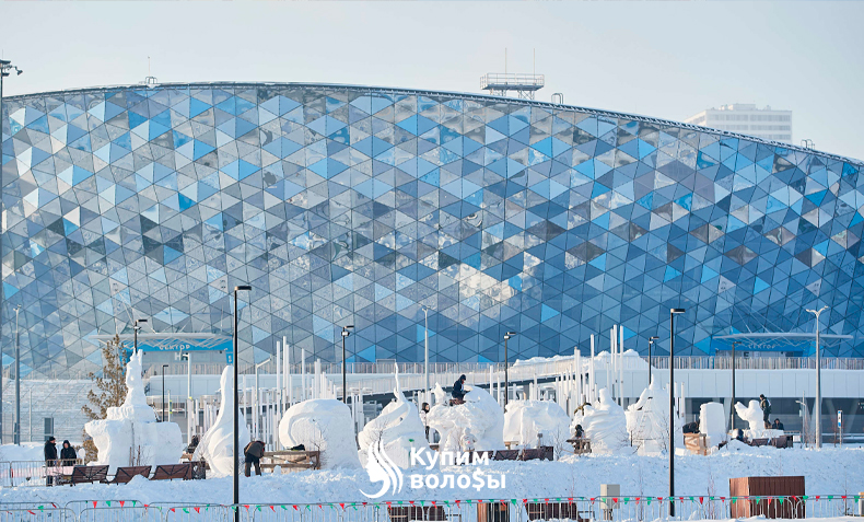 Сколько стоят волосы в Новосибирске в 2024 году?