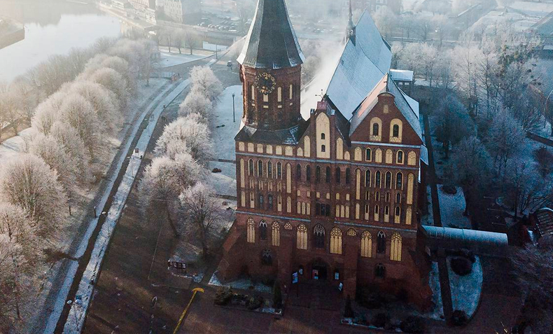 Продать волосы в Калининграде: быстрый и выгодный способ заработка