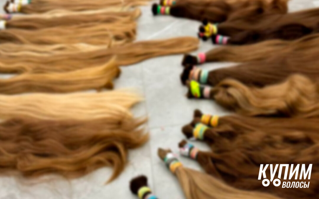 Выгодные условия для продажи волос в Перми в 2025 году