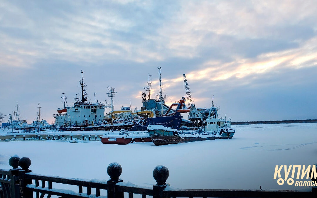 Где лучше продать волосы в Архангельске ДОРОГО?