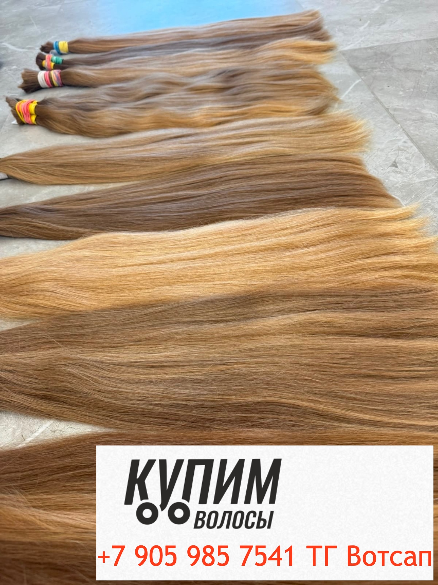 продать волосы в Калуге дорого быстро- дорого- онлайн оплата - 8-905-985-75-41 звоните и пишите в Телеграм и ВОТСАП Работаем по всей стране